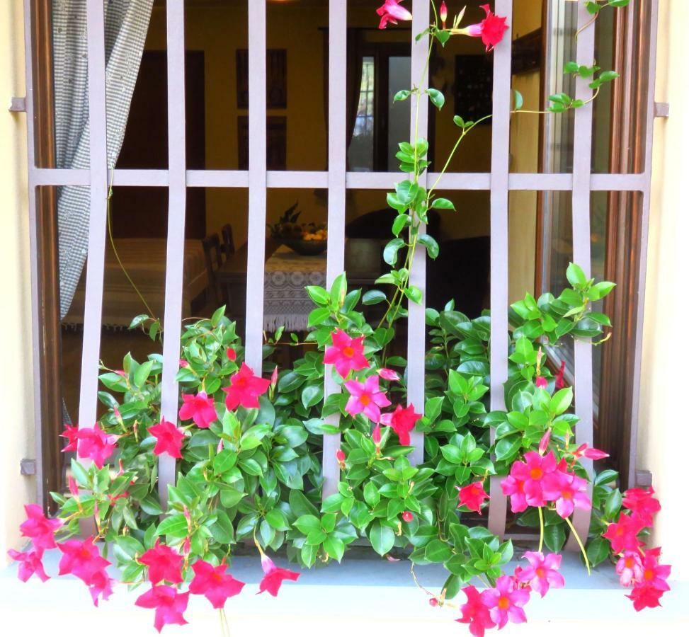 Casa Francesco Apartment Clanezzo Exterior photo